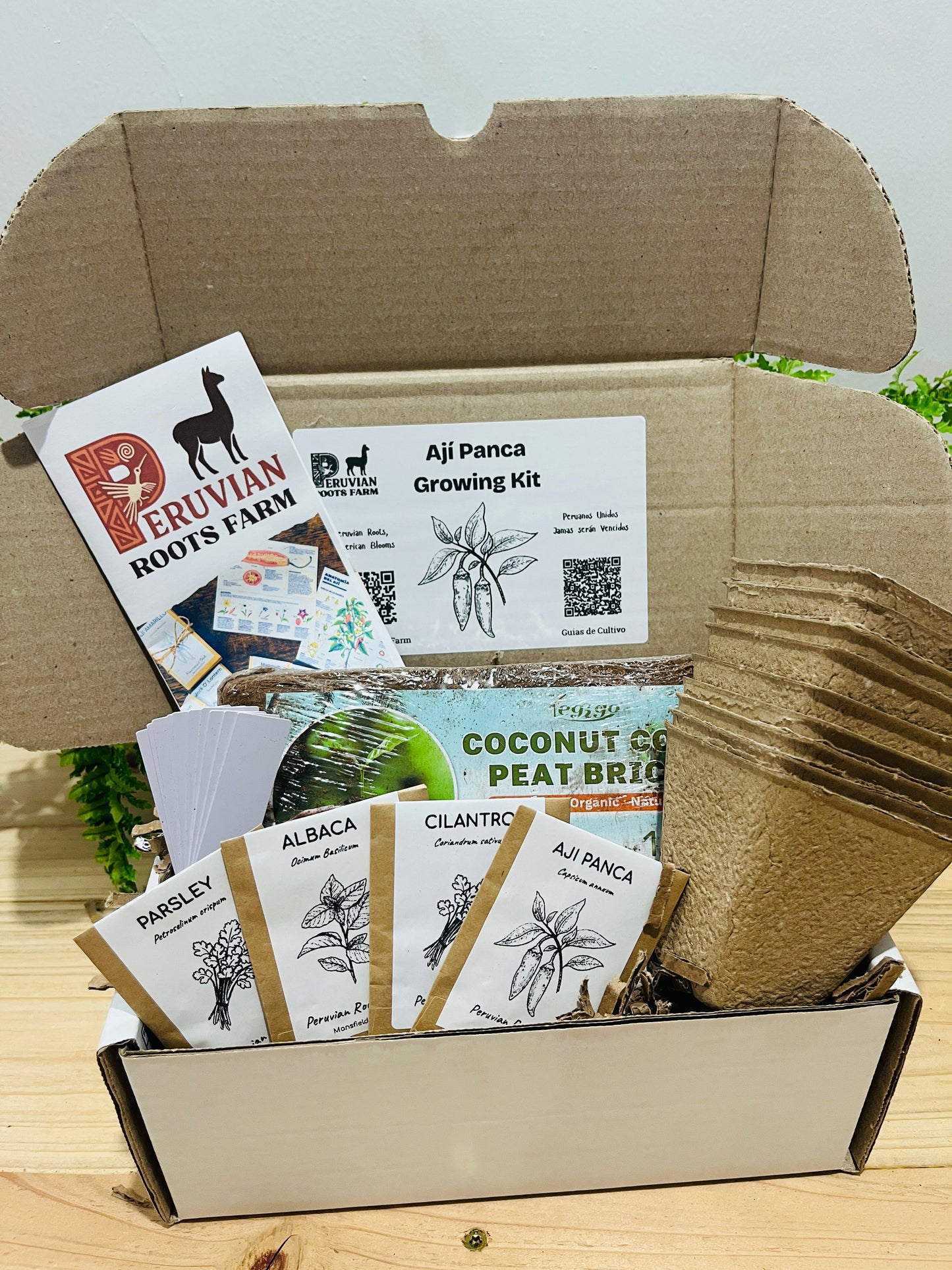 Peruvian Ají Panca Seed Starter Kit – Limited Edition