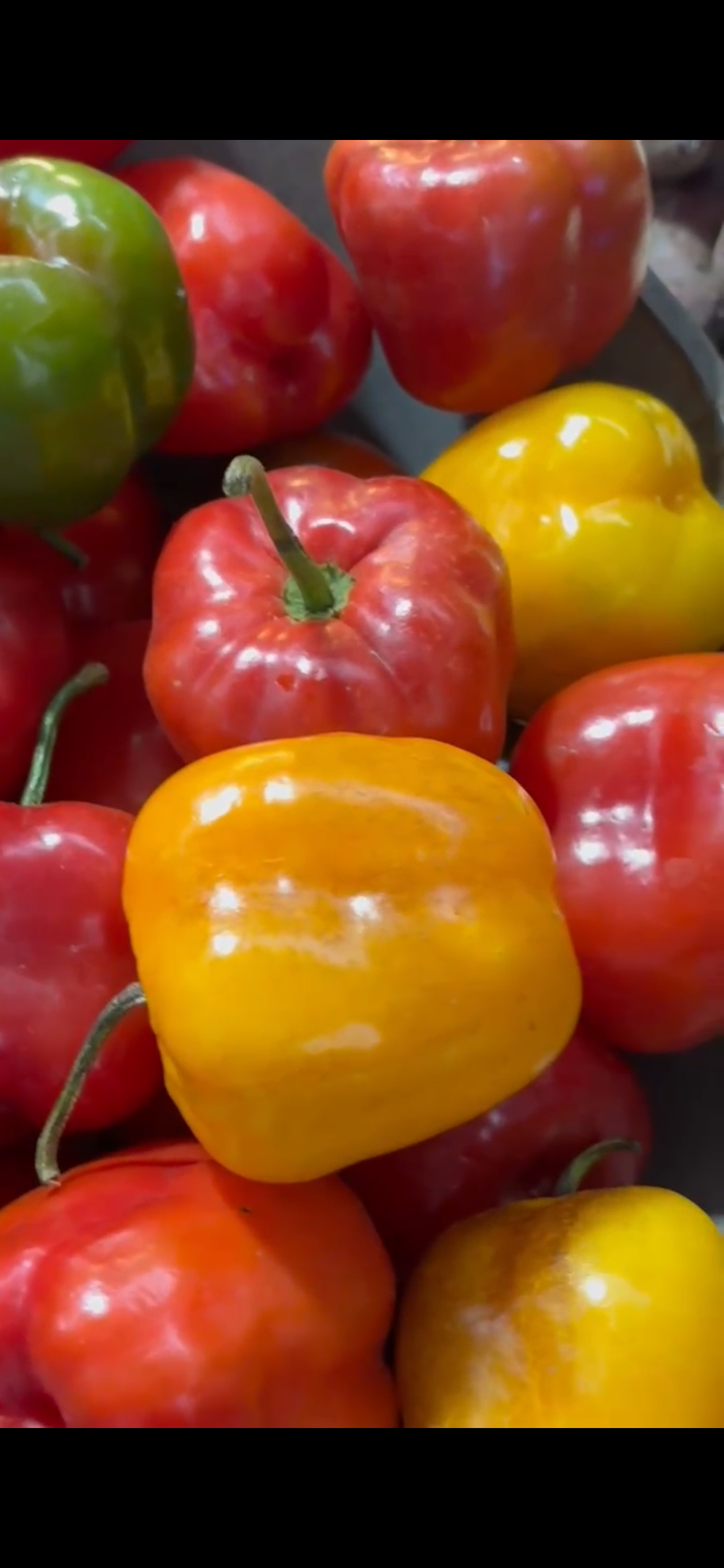 Rocoto Seeds – Peruvian Mountain Pepper with Bold Heat