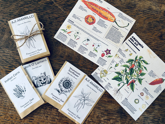 How to Plan Your Garden Calendar