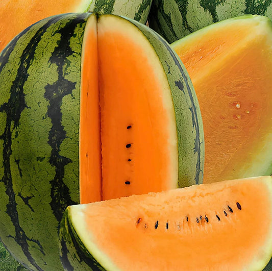 Orange Watermelon Seeds – Sweet Heirloom Orange-Fleshed Watermelon | Free Shipping
