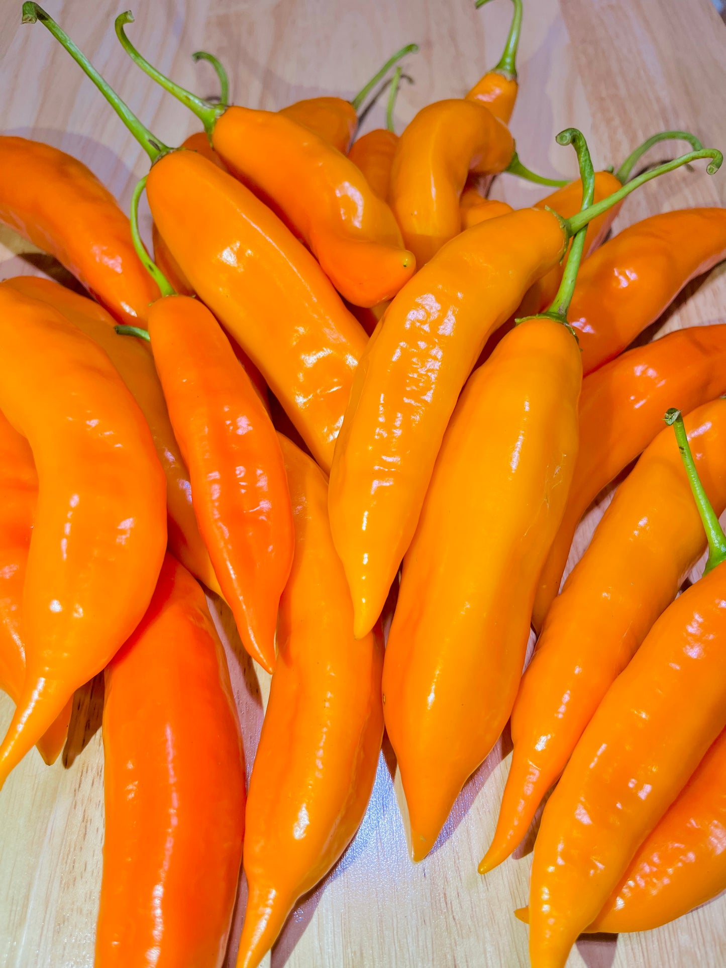 Ají Amarillo Seeds – Classic Peruvian Yellow Pepper Seeds