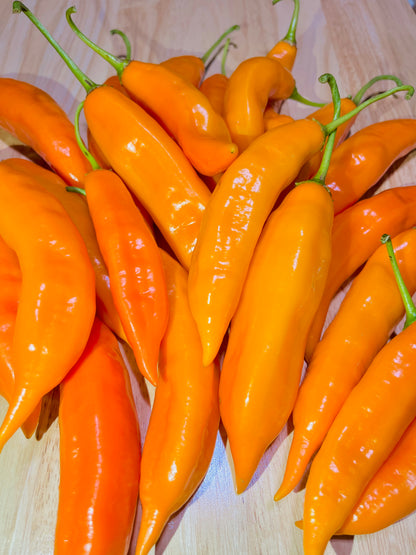 Ají Amarillo Seeds – Classic Peruvian Yellow Pepper Seeds