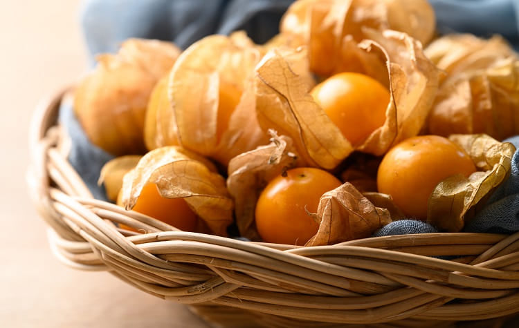 Aguaymanto (Goldenberry) – Physalis peruviana
