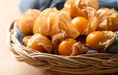 Aguaymanto (Goldenberry) – Physalis peruviana