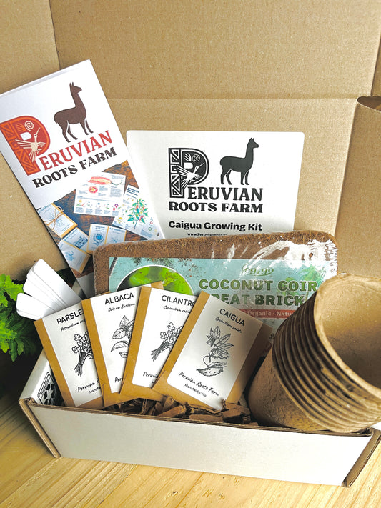 Peruvian Caigua Seed Starter Kit – Limited Edition