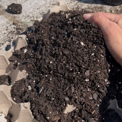Premium Soil | Inca’s Black Gold