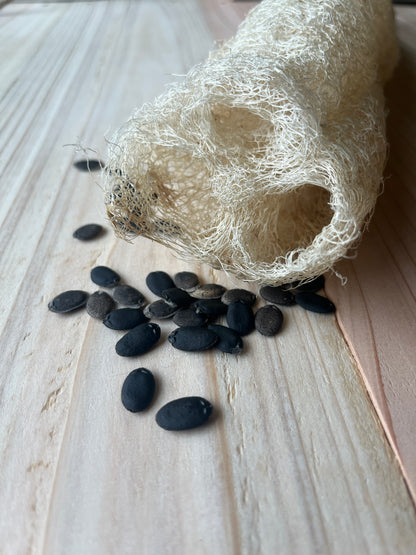 Loofah Seeds – Long, Heavy Sponge Variety with Black Seeds (Cold Hardy)