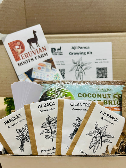 Peruvian Ají Panca Seed Starter Kit – Limited Edition