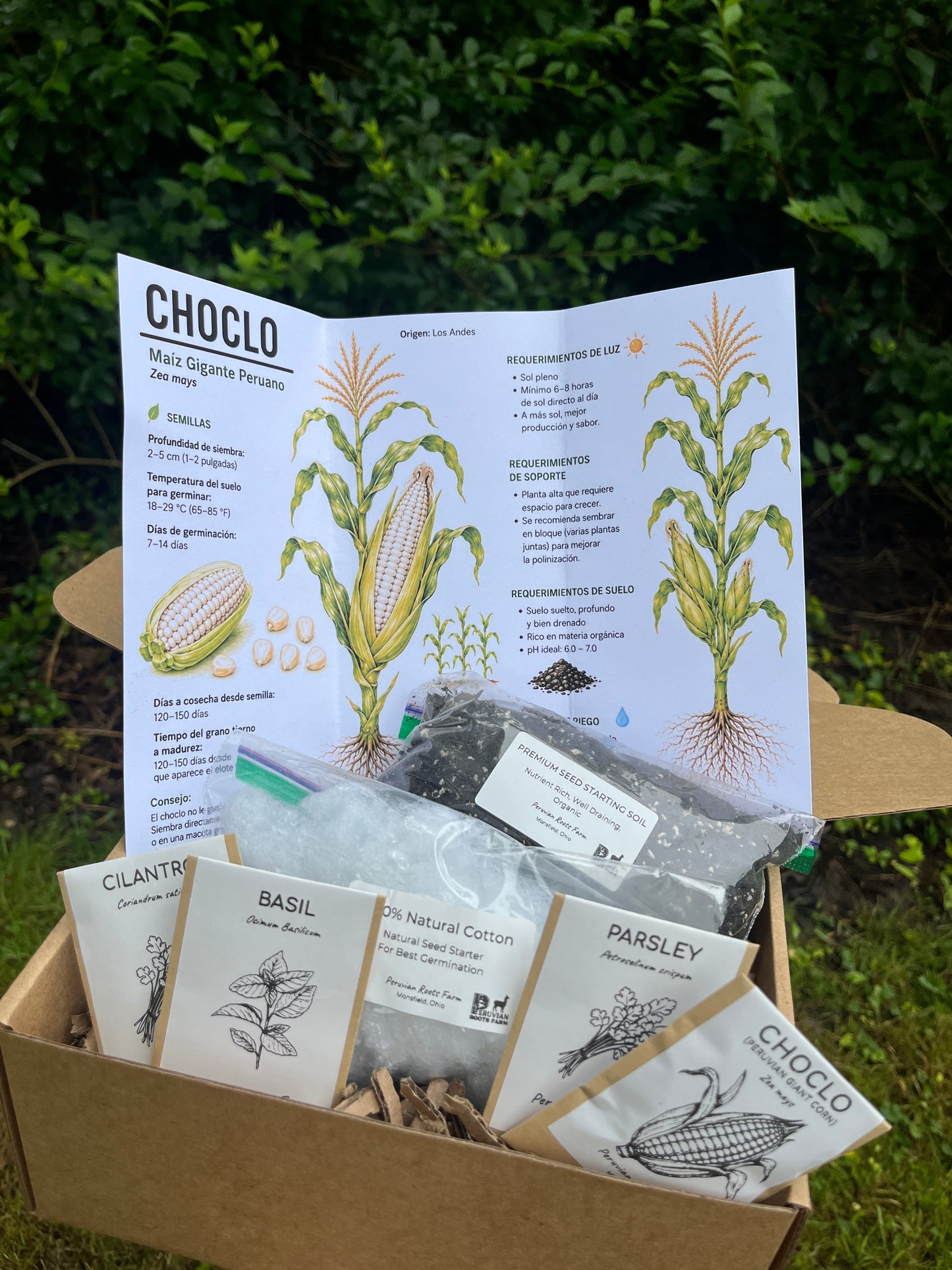 Peruvian Choclo Seed Starter Kit – Limited Edition