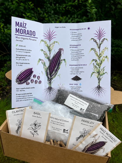Peruvian Maiz Morado Seed Starter Kit – Limited Edition
