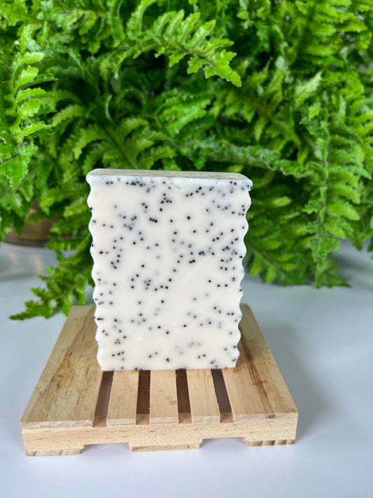 Santal & Coconut Exfoliating Soap