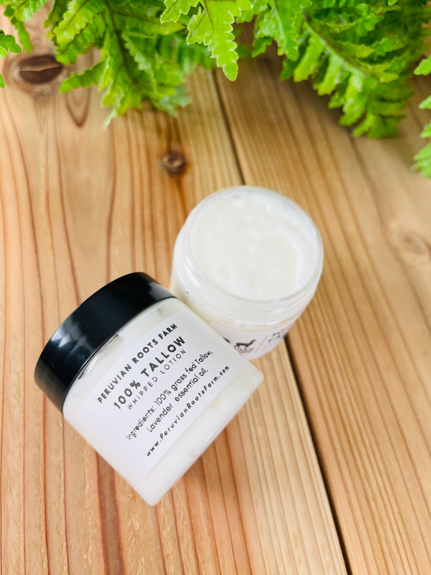 Tallow Lotion – Lavender