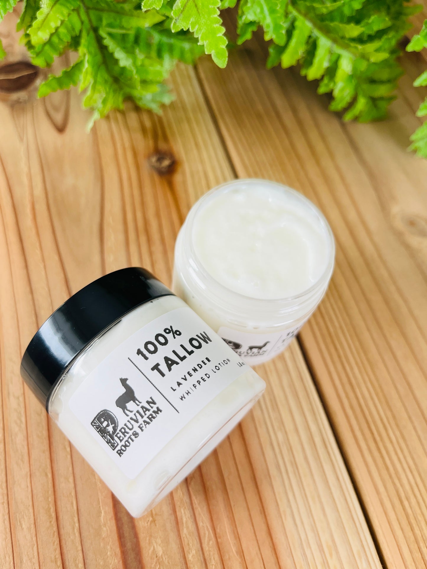 Tallow Lotion – Lavender